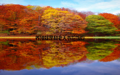 养殖就是和老天爷抢饭吃