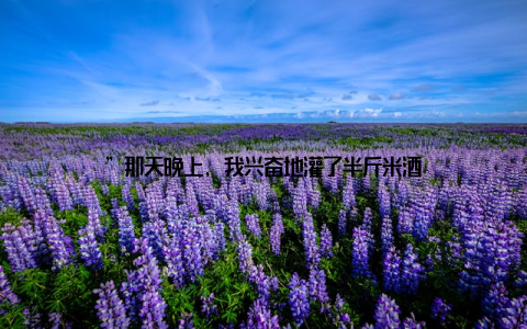 ”那天晚上, 我兴奋地灌了半斤米酒