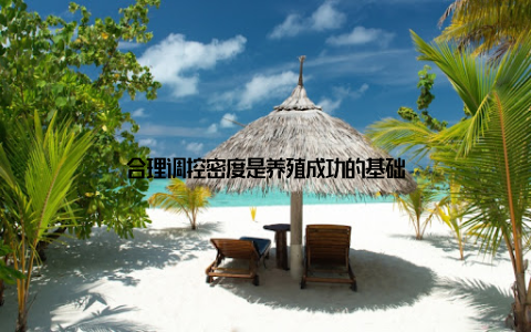 合理调控密度是养殖成功的基础