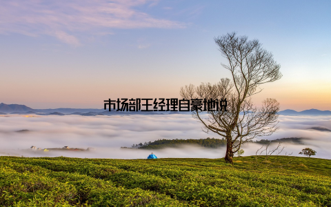 市场部王经理自豪地说