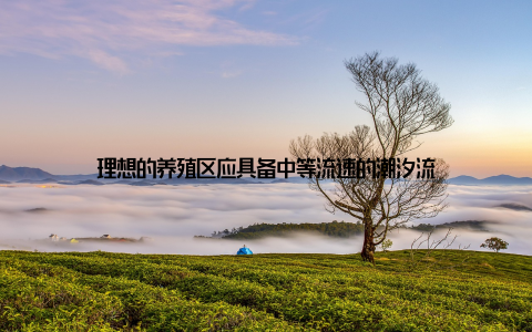 理想的养殖区应具备中等流速的潮汐流