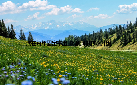 现在每年固定拿出3%利润做技术升级