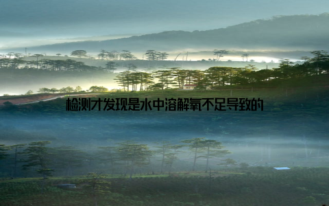 检测才发现是水中溶解氧不足导致的