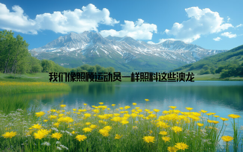 我们像照顾运动员一样照料这些澳龙