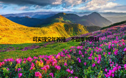 – 可实现全年养殖, 不受季节限制