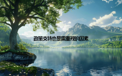 政策支持也是需重视的因素