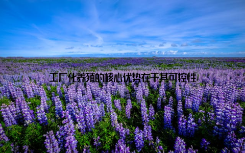 工厂化养殖的核心优势在于其可控性