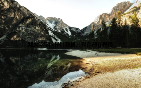 我大学学的是计算机, 现在却在养鱼