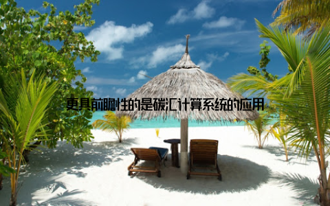 更具前瞻性的是碳汇计算系统的应用