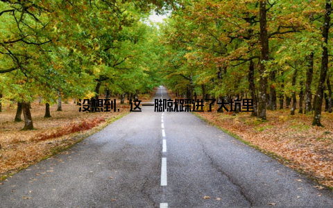 没想到, 这一脚就踩进了大坑里