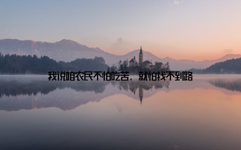 我说咱农民不怕吃苦, 就怕找不到路