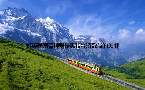 虾类养殖管理则是实现经济效益的关键