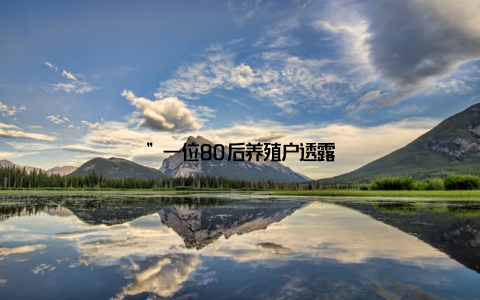 ”一位80后养殖户透露