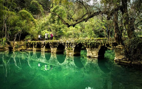 变化最大的要数村东头的五保户赵大爷