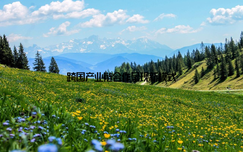 跨国产业链合作呈现新模式