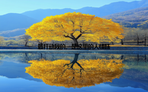 最打动我的, 是这里的人情味