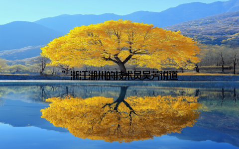 ”浙江湖州的技术员吴芳说道