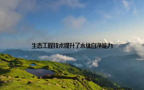 生态工程技术提升了水体自净能力