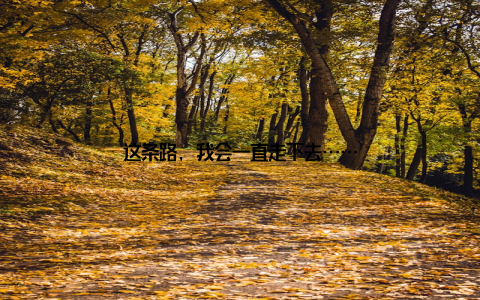 这条路, 我会一直走下去……