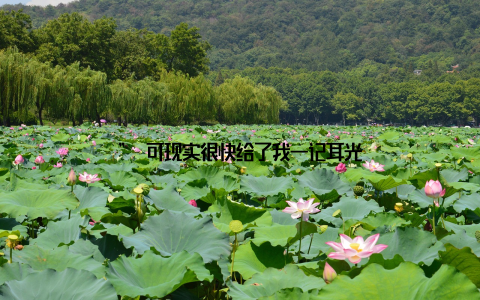 ” 可现实很快给了我一记耳光