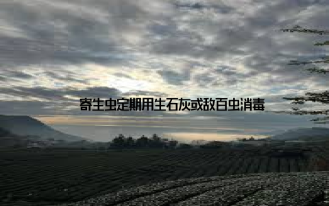 – 寄生虫定期用生石灰或敌百虫消毒