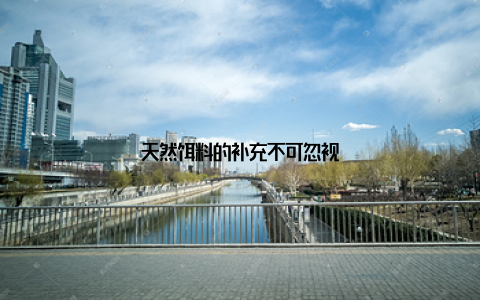 天然饵料的补充不可忽视