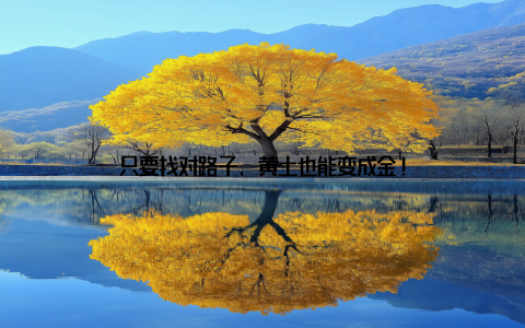 只要找对路子, 黄土也能变成金!