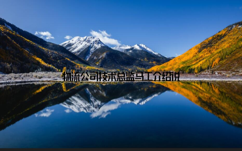 物流公司技术总监马工介绍说