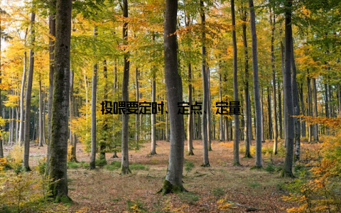 投喂要定时、定点、定量