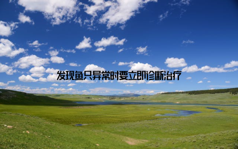 发现鱼只异常时要立即诊断治疗