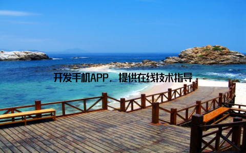 开发手机APP, 提供在线技术指导