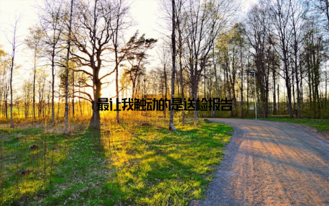 最让我触动的是送检报告