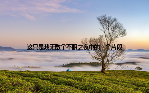 这只是我无数个不眠之夜中的一个片段