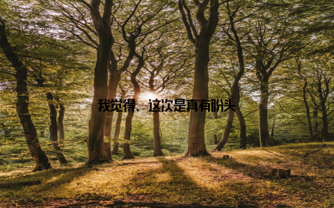 我觉得, 这次是真有盼头