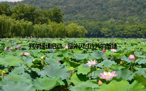 列车缓缓启动, 窗外闪过连片的蟹塘