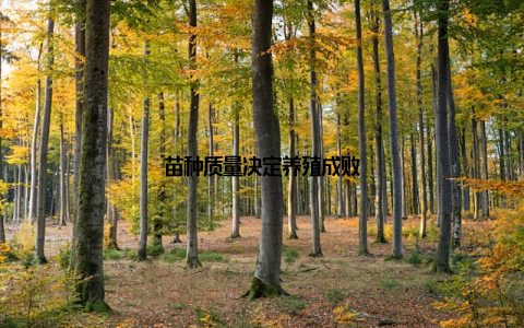 苗种质量决定养殖成败