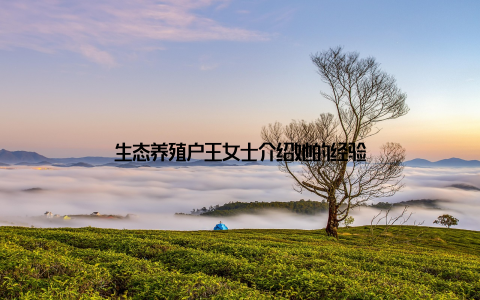 生态养殖户王女士介绍她的经验