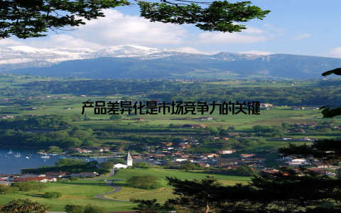 产品差异化是市场竞争力的关键