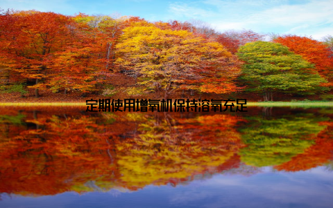 定期使用增氧机保持溶氧充足