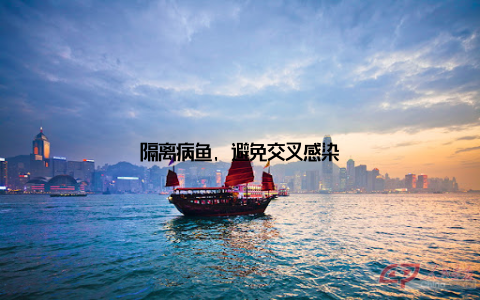 隔离病鱼, 避免交叉感染