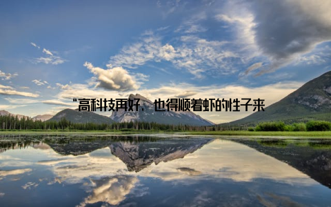 “高科技再好, 也得顺着虾的性子来