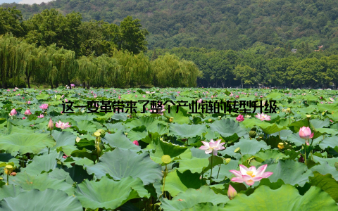 这一变革带来了整个产业链的转型升级