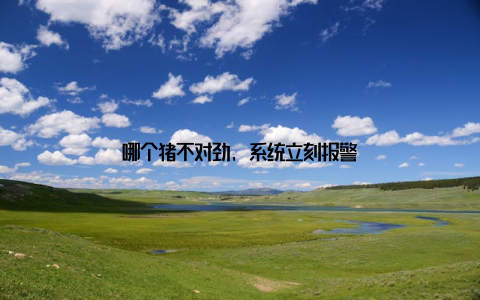 哪个猪不对劲, 系统立刻报警