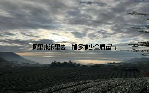 风里来浪里去, 捕多捕少全看运气