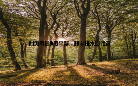 池塘建设池底平整, 略向排水口倾斜