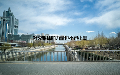 社交媒体的力量也不容小觑