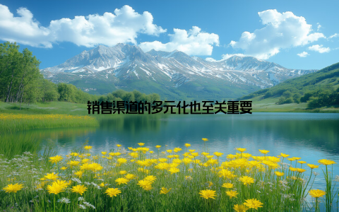 销售渠道的多元化也至关重要