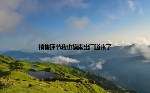 销售环节我也摸索出门道来了