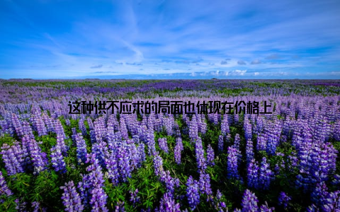 这种供不应求的局面也体现在价格上