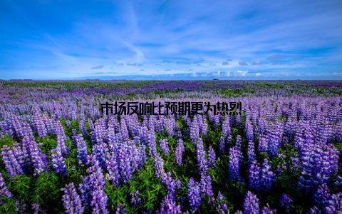 市场反响比预期更为热烈